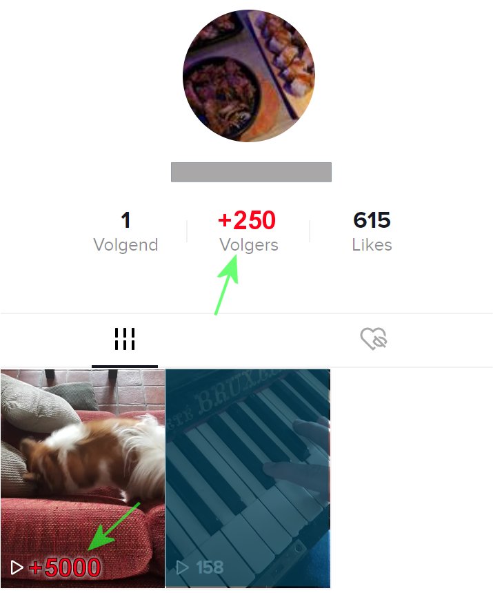 tiktok views and followers booster