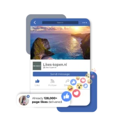 Buy Facebook Page Likes | Likes-kopen.nl