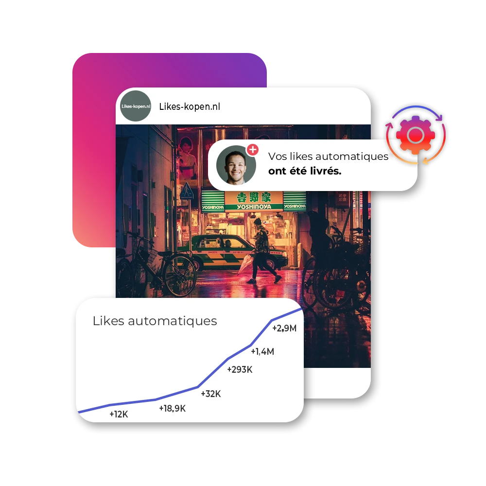 Acheter des Auto Likes Instagram | Likes-kopen.nl