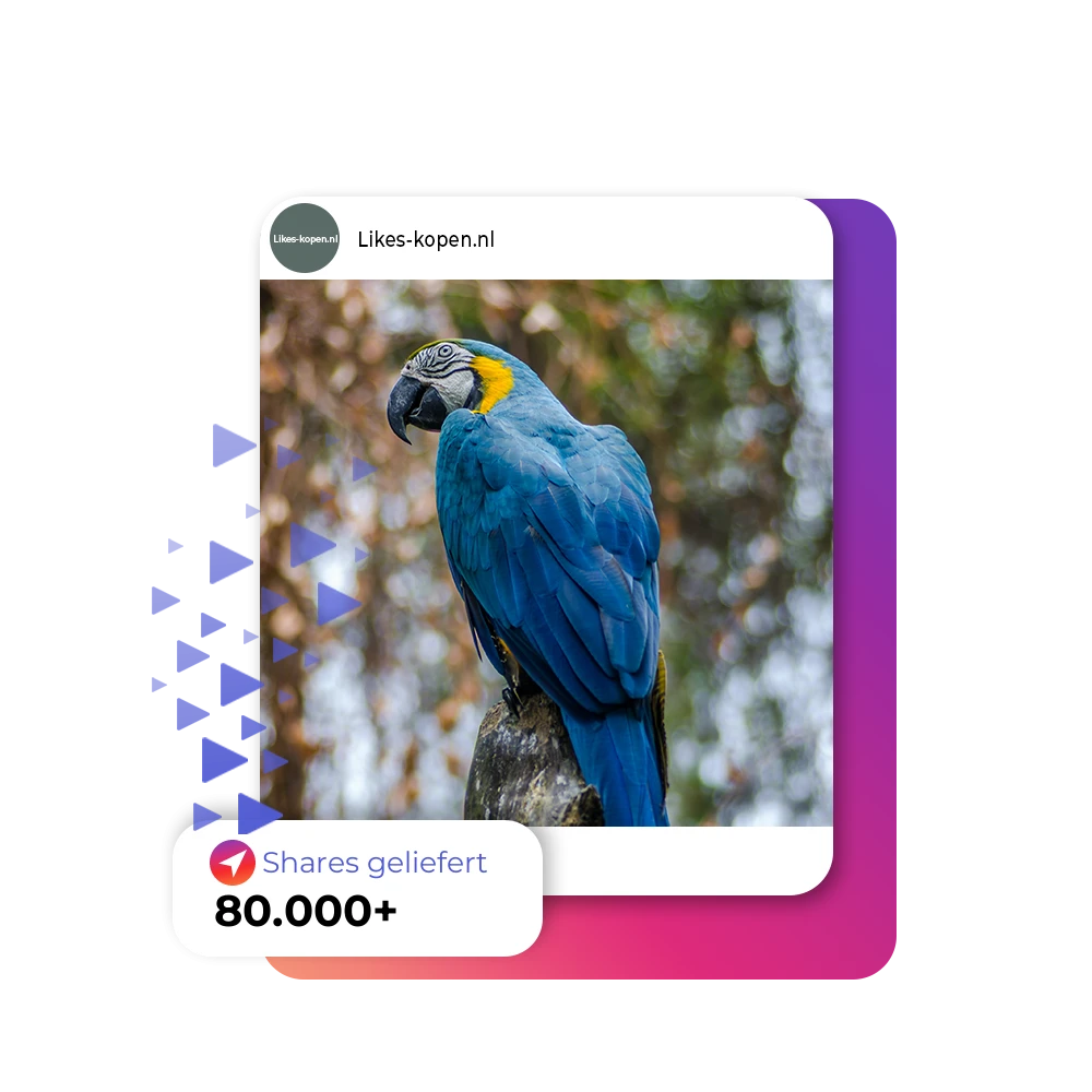 Instagram Shares Kaufen | Likes-kopen.nl