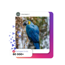 Acheter des Partages Instagram | Likes-kopen.nl