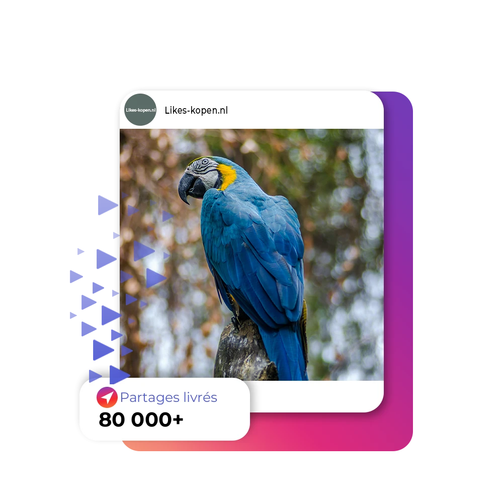 Acheter des Partages Instagram | Likes-kopen.nl