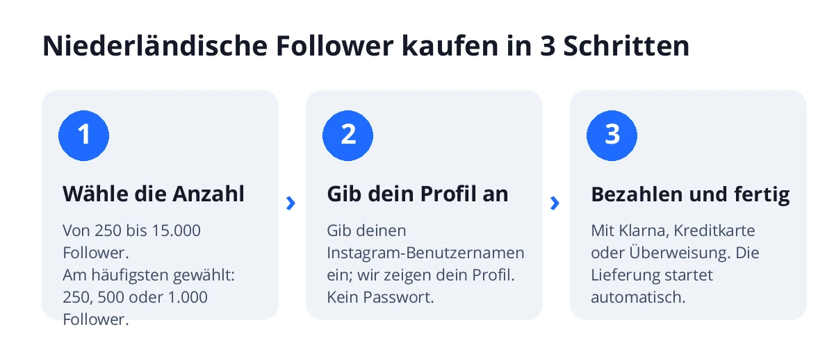 Niederländische Instagram Follower kaufen in 3 Schritten: Anzahl wählen, Instagram Benutzernamen eingeben und bezahlen, danach startet die Lieferung automatisch