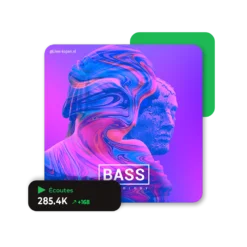 Acheter des streams Spotify | Likes-kopen.nl