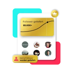Premium TikTok Follower Kaufen | Likes-kopen.nl