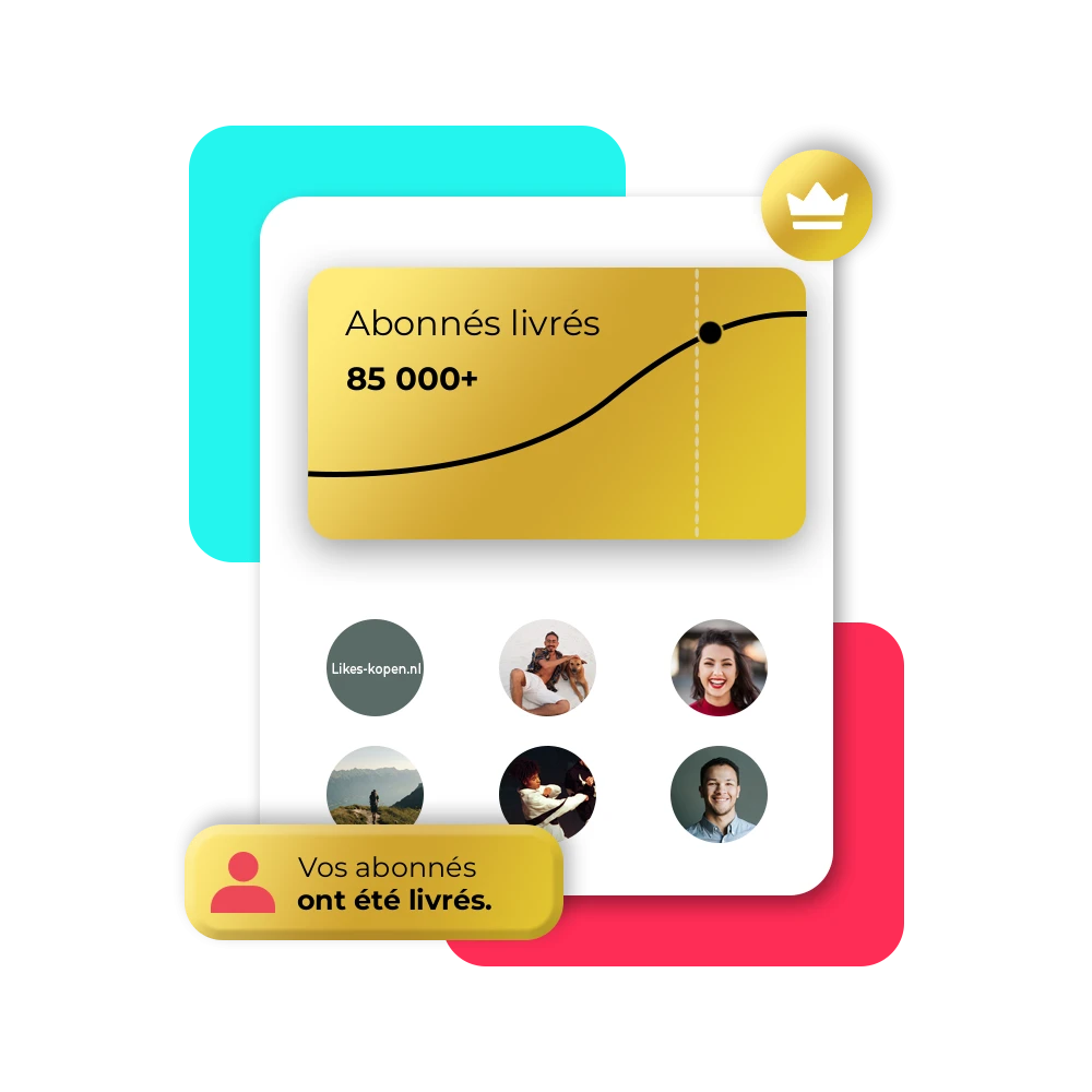 Acheter des followers TikTok premium | Likes-kopen.nl